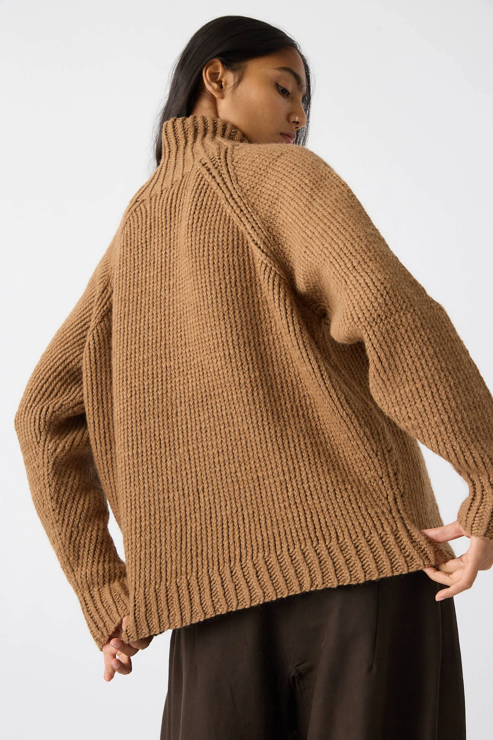 Camel Wool Knit Sweater in Natural