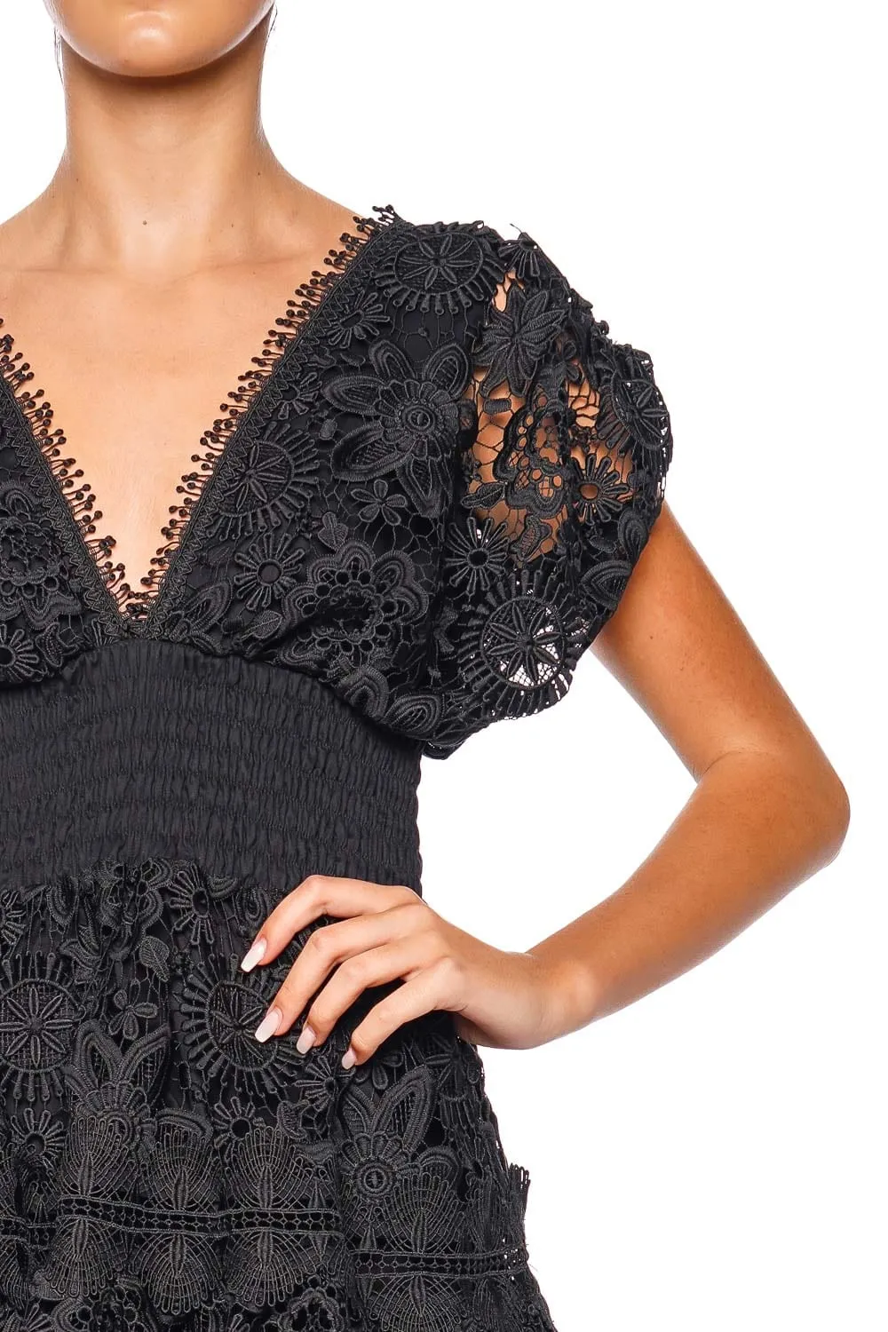 Morana Black Embroidered Lace Mini Dress