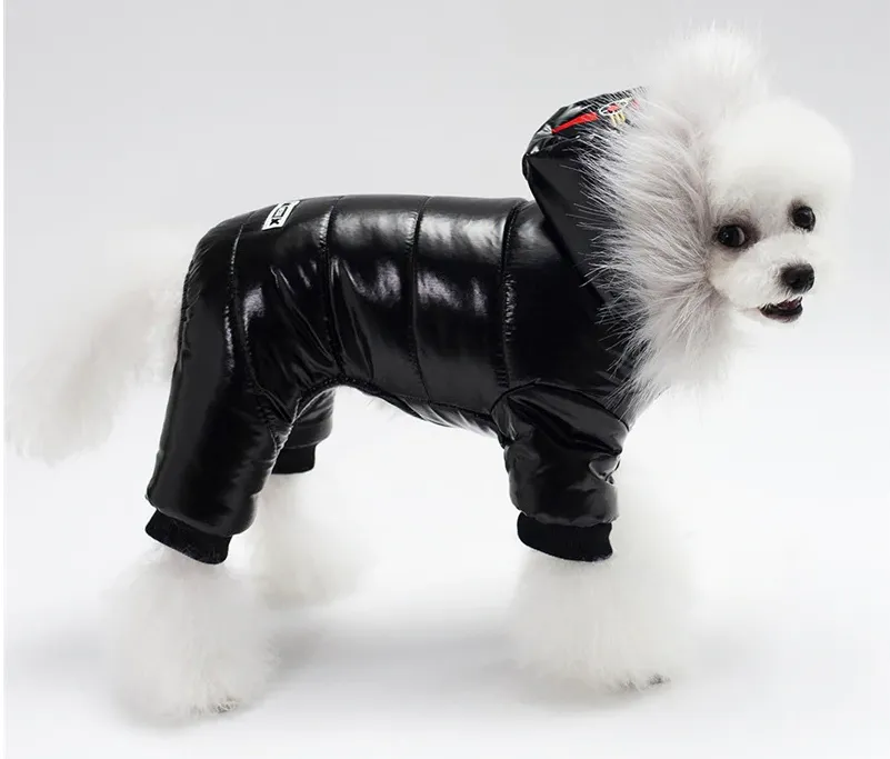White Fox Alpine Snowsuit